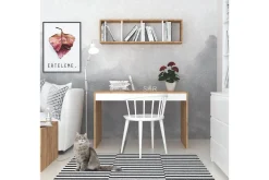 Mod Design Skrivebord 120 cm med Oppbevaring Vegghylle
