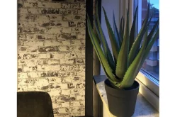 Kunstige Planter-Piscode Kunstig Plante Aloevera 50 cm Grønn