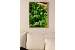 Venture Home Posters|Posters-Plakat Green Leaf 50x70 cm Grønn