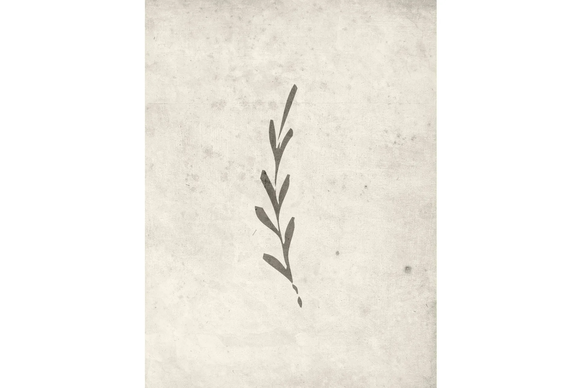 Venture Home Posters|Posters-Poster Autumn leaf 50x70 cm Beige
