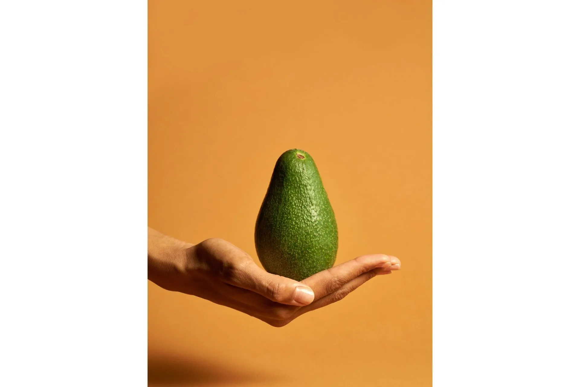 Venture Home Poster Avocado 21x30 cm