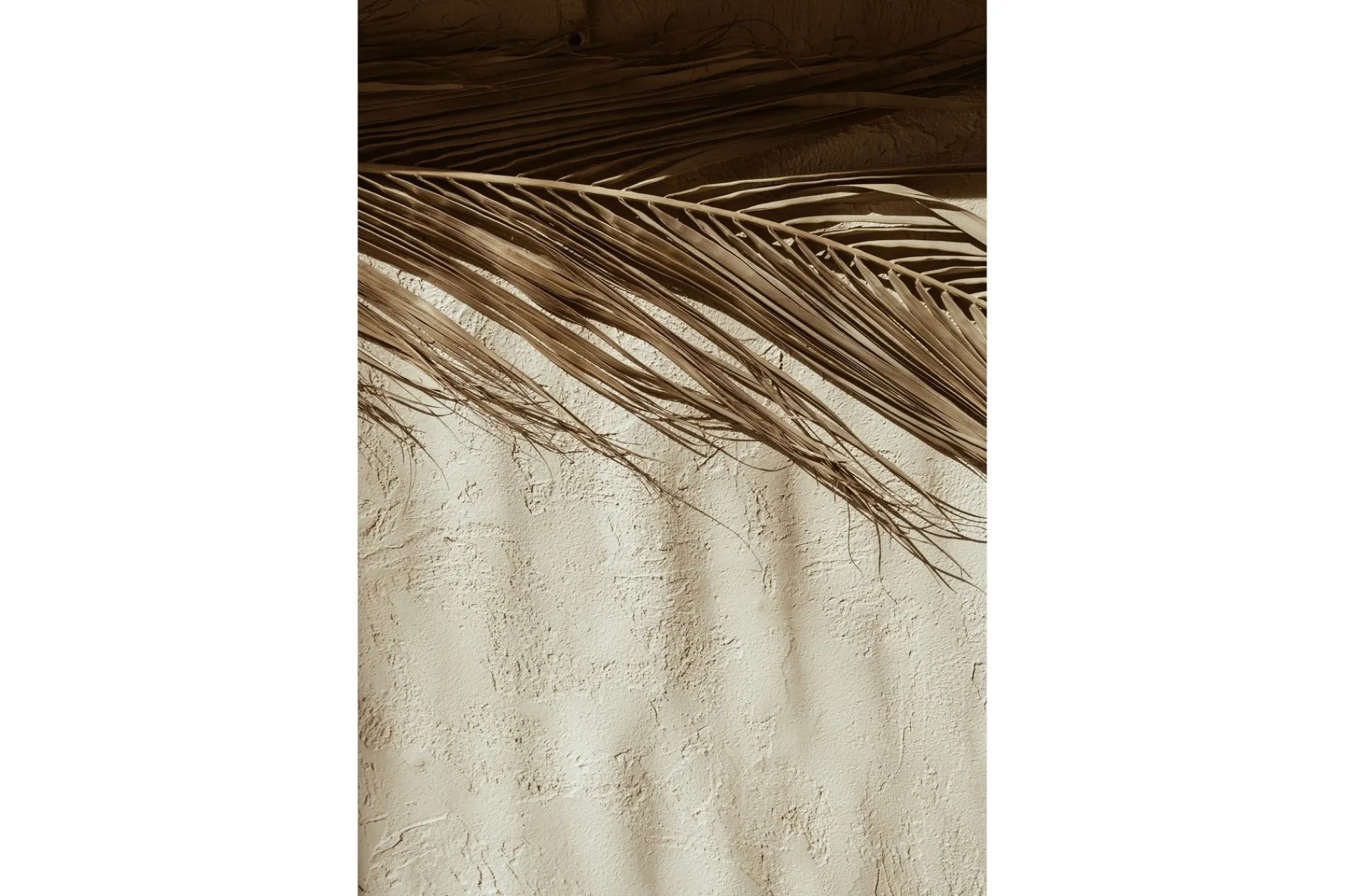 Venture Home Posters|Posters-Poster Dessert 70x100 cm Beige