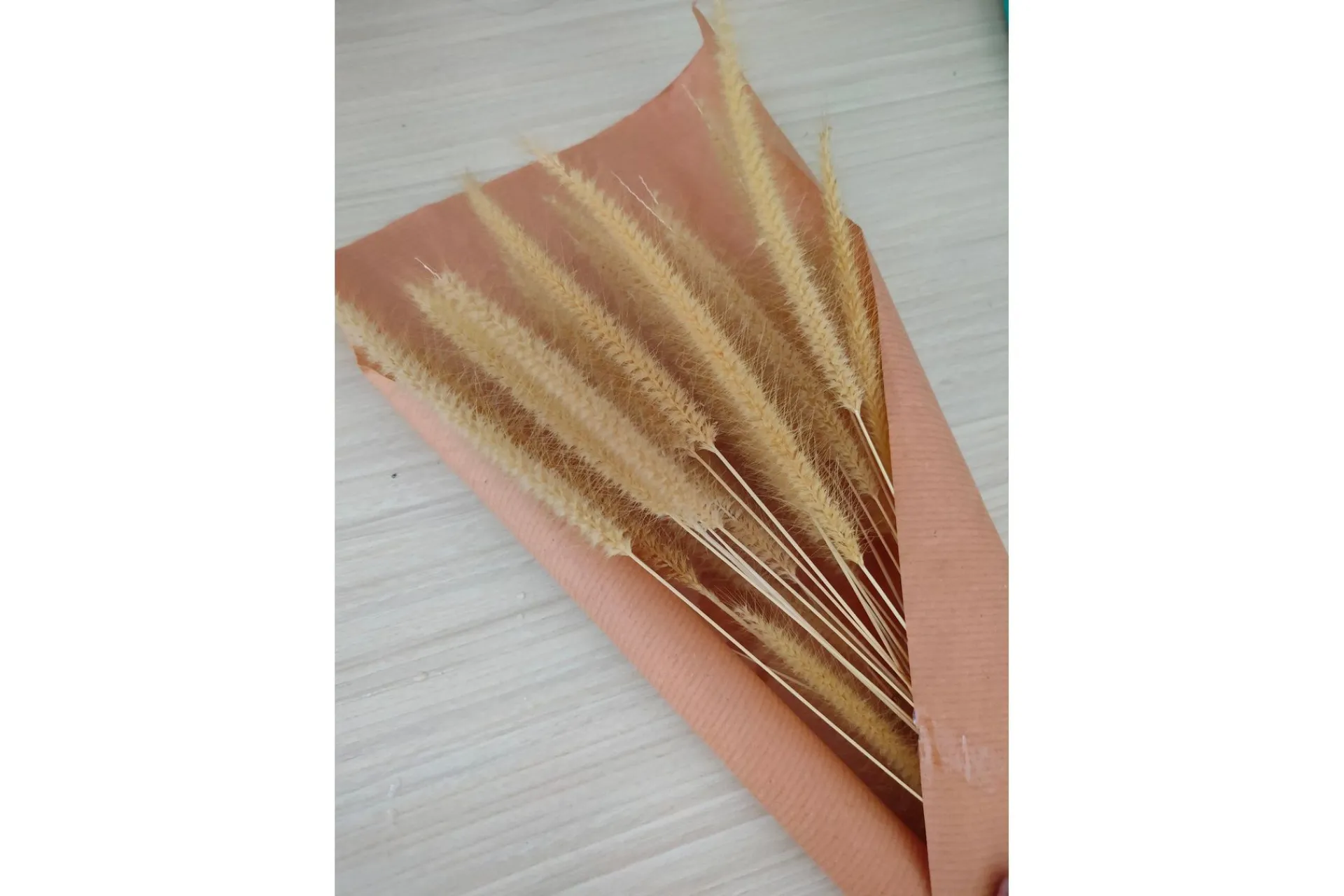 Venture Home Posters|Posters-Poster Dry flowers 50x70 cm Rosa/Beige