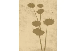 Venture Home Posters|Posters-Poster Flower art 50x70 cm Beige