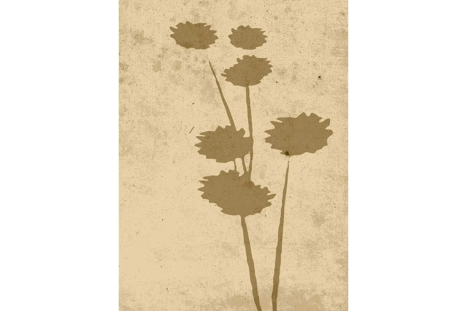 Venture Home Poster Flower art 21x30 cm