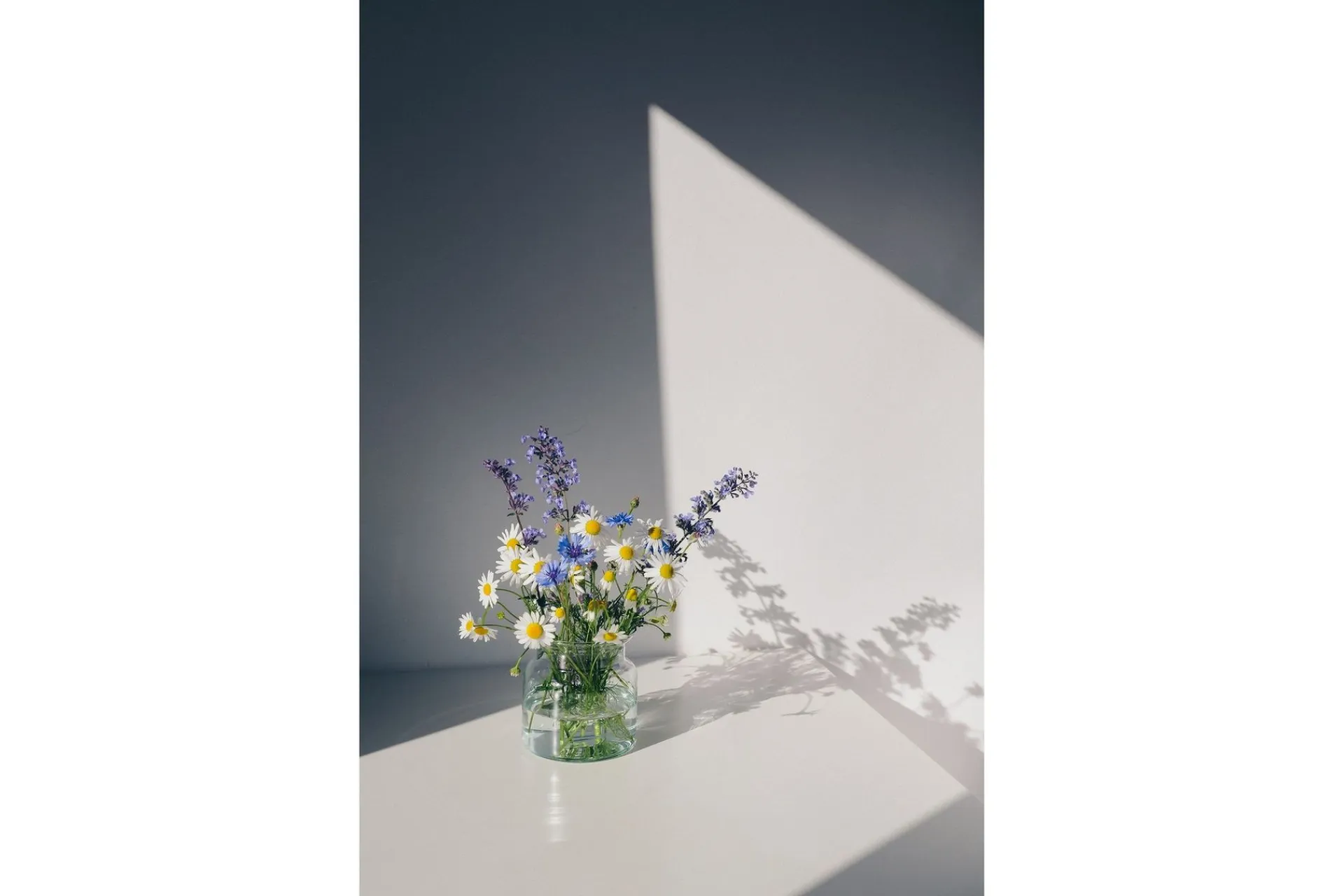 Venture Home Poster Flowers 21x30 cm