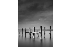 Venture Home Posters|Posters-Poster Ocean 70x100 cm Svart/Hvit