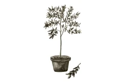 Venture Home Posters|Posters-Poster Olive 50x70 cm Hvit/Grønn