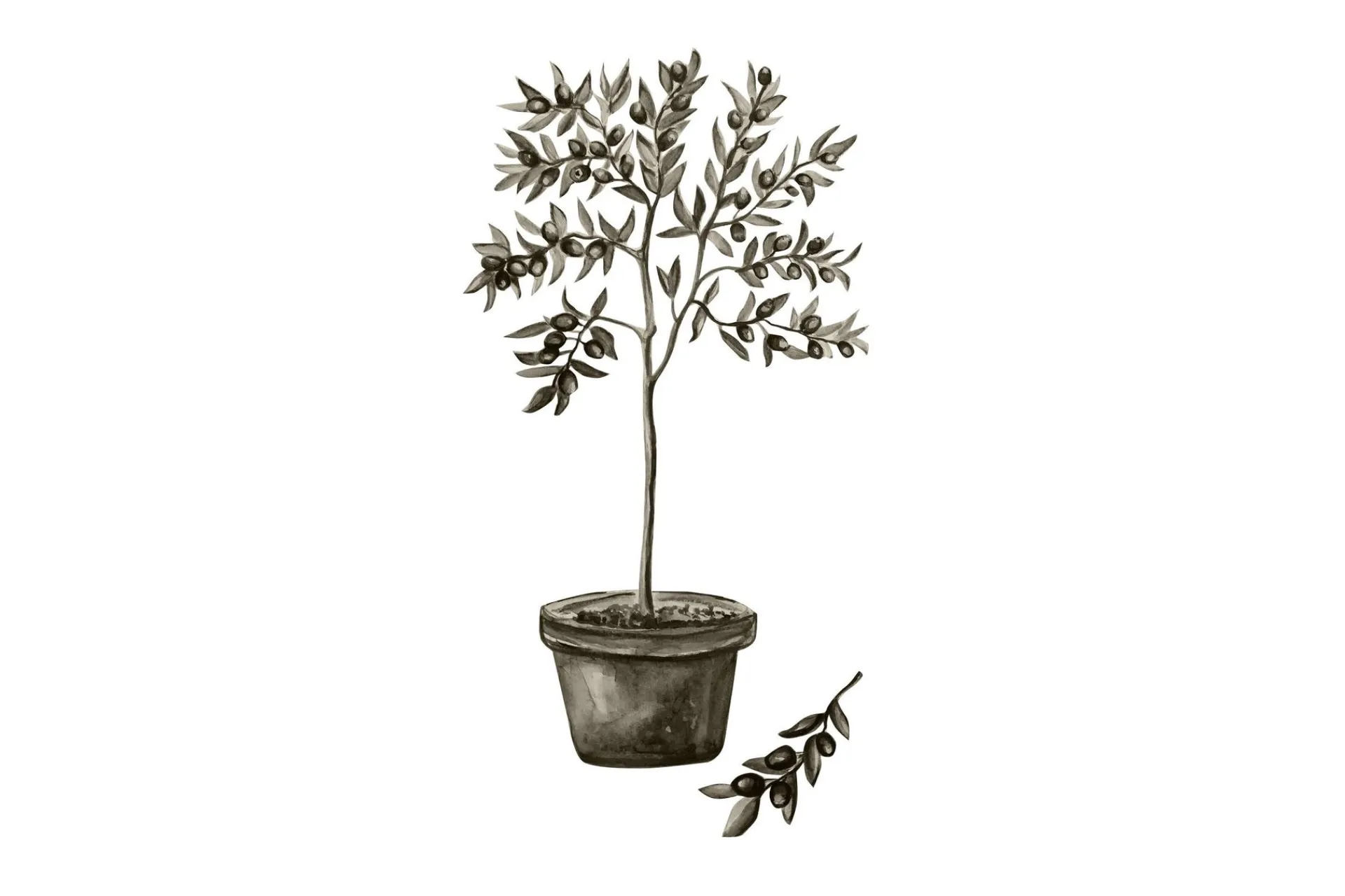 Venture Home Poster Olive 70x100 cm