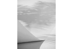 Venture Home Posters|Posters-Poster Papyrus 30x40 cm Hvit