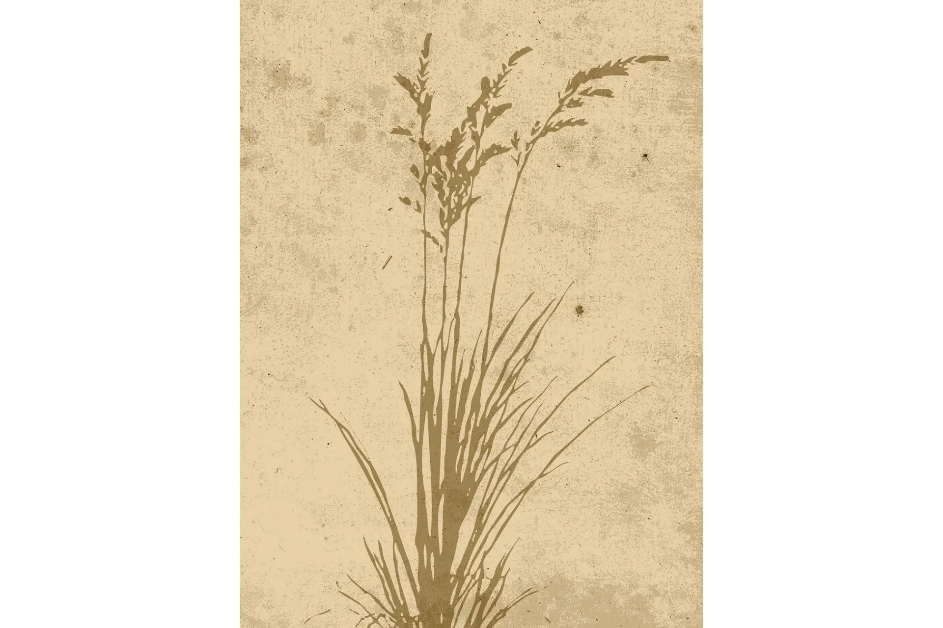Venture Home Posters|Posters-Poster Plant art 21x30 cm Beige