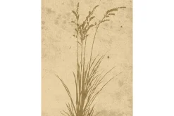 Venture Home Posters|Posters-Poster Plant art 30x40 cm Beige