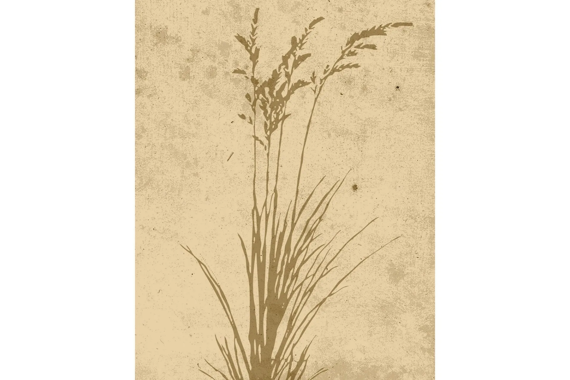 Venture Home Posters|Posters-Poster Plant art 30x40 cm Beige