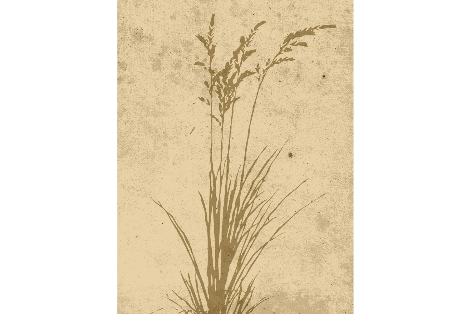 Venture Home Posters|Posters-Poster Plant art 50x70 cm Beige