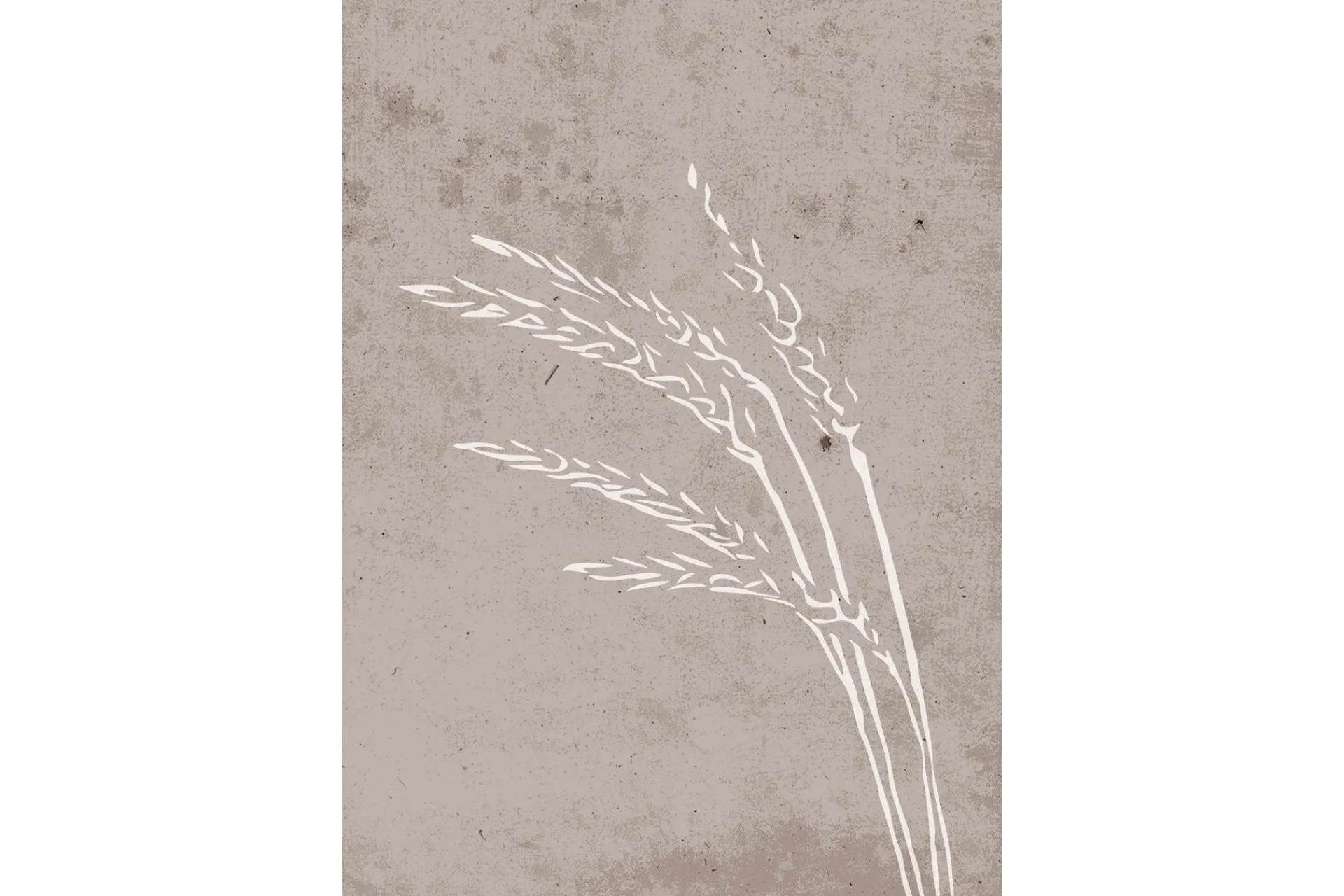 Venture Home Poster Seeds 70x100 cm