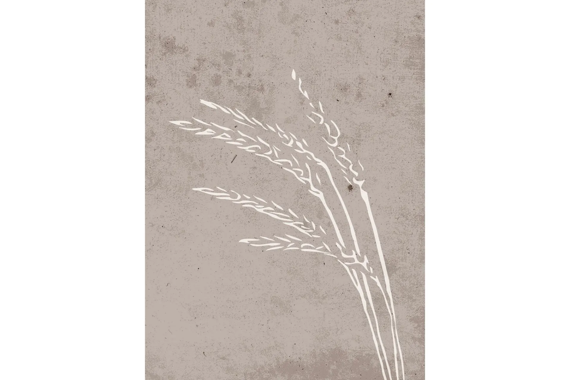 Venture Home Posters|Posters-Poster Seeds 21x30 cm Beige