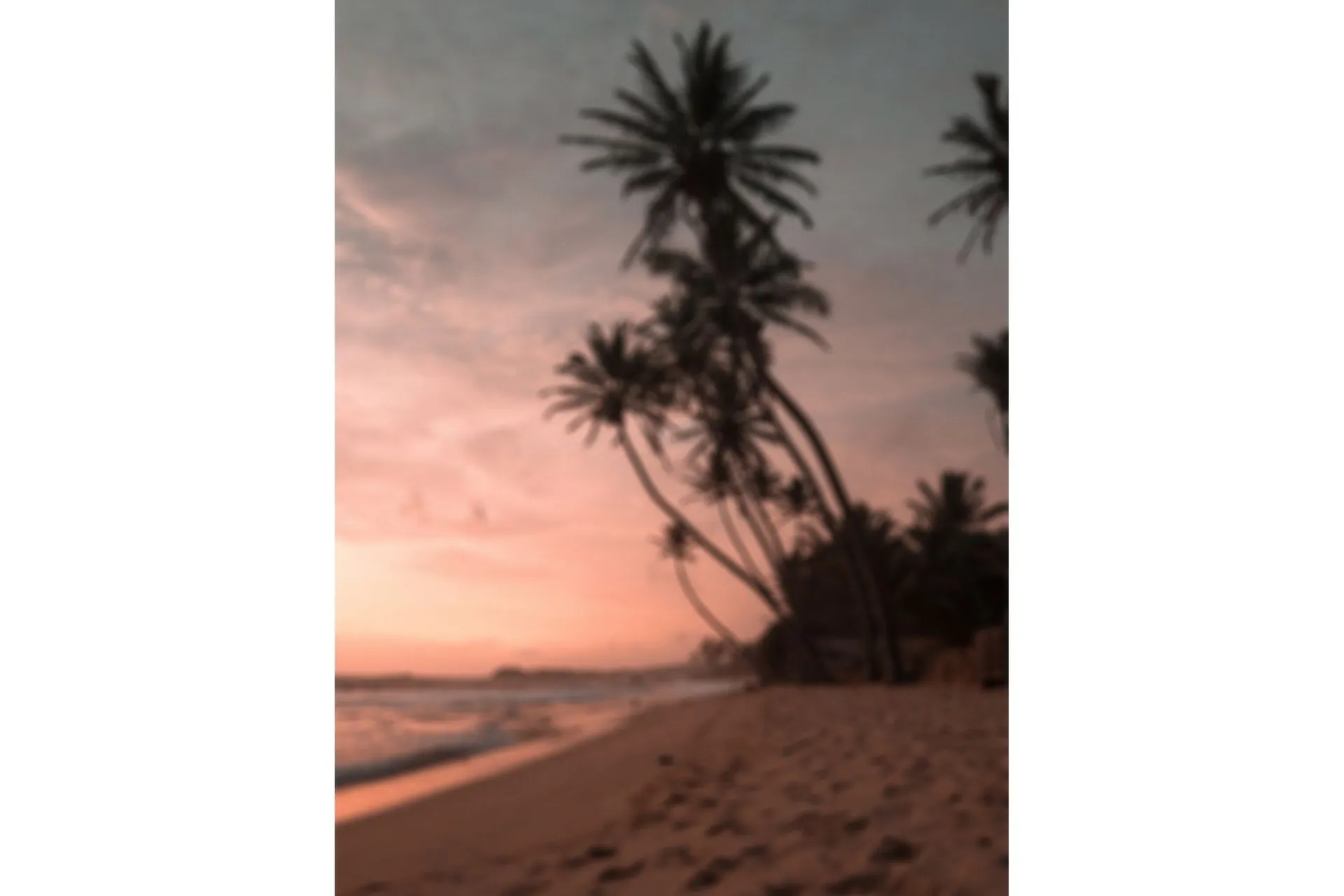 Venture Home Posters|Posters-Poster Summer 50x70 cm Lyserød