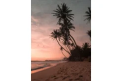 Venture Home Poster Summer 21x30 cm