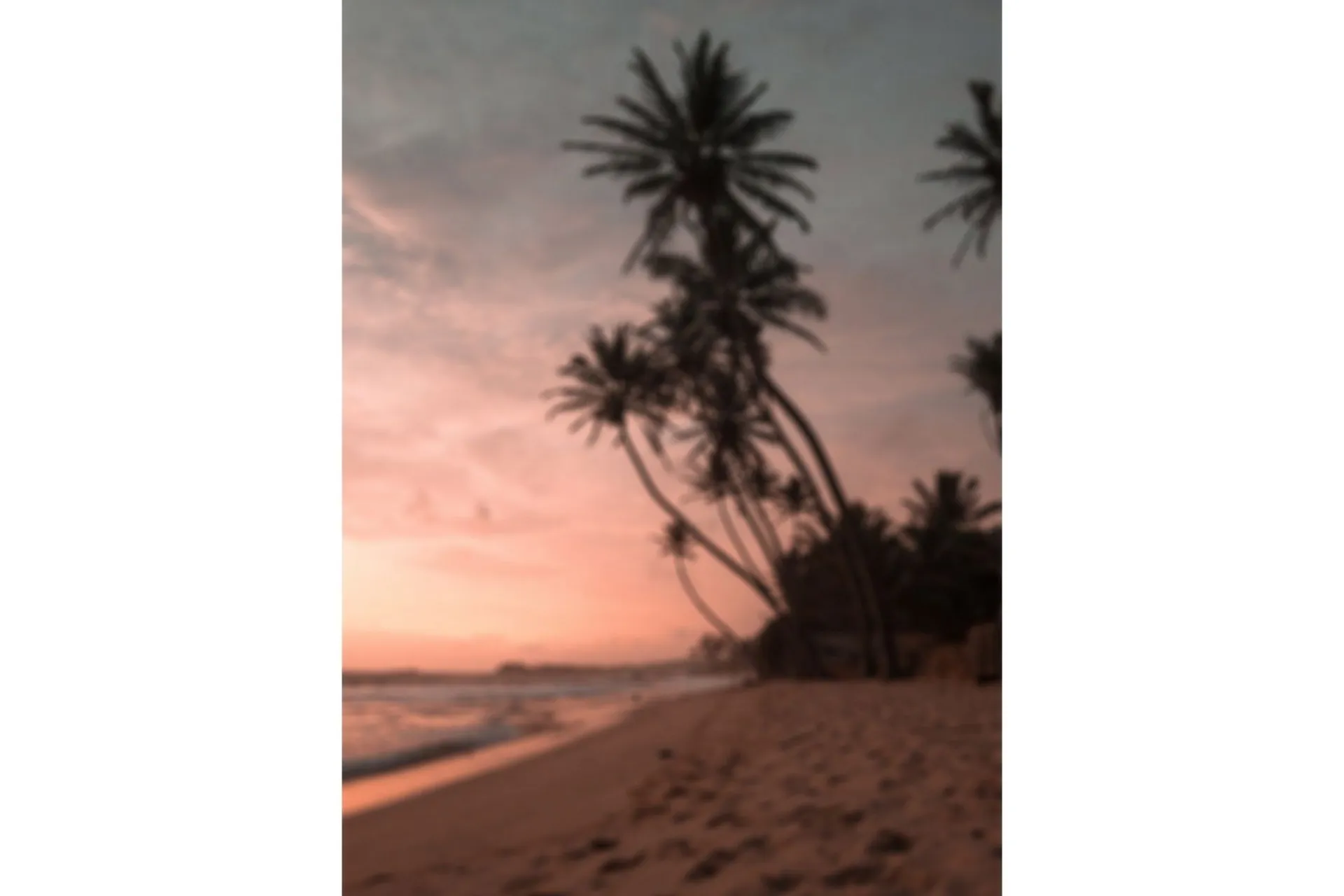 Venture Home Poster Summer 70x100 cm