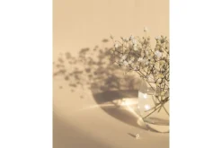 Venture Home Poster White Flowers 50x70 cm