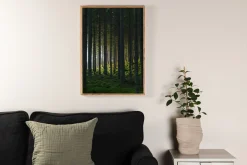 Venture Home Poster Woods 70x100 cm