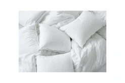 Pute Hotellpute
