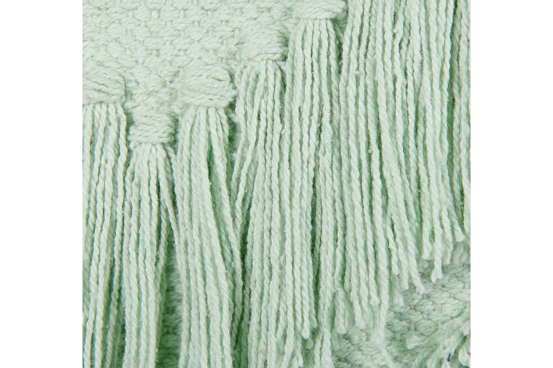 Pynteputer Bacopa