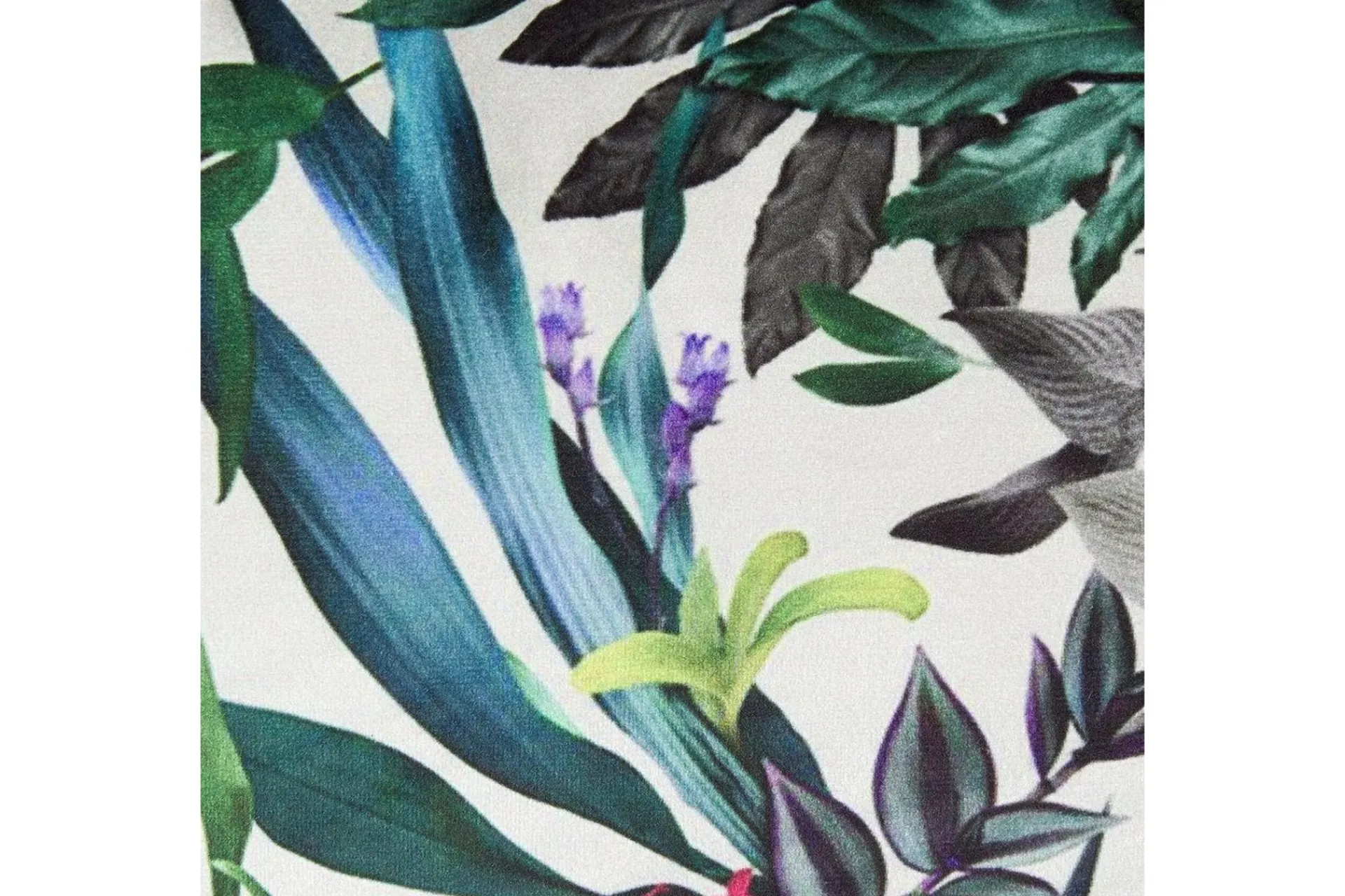 Hagepute|Hagepute-Pynteputer Gasteria Grønn,Hvit