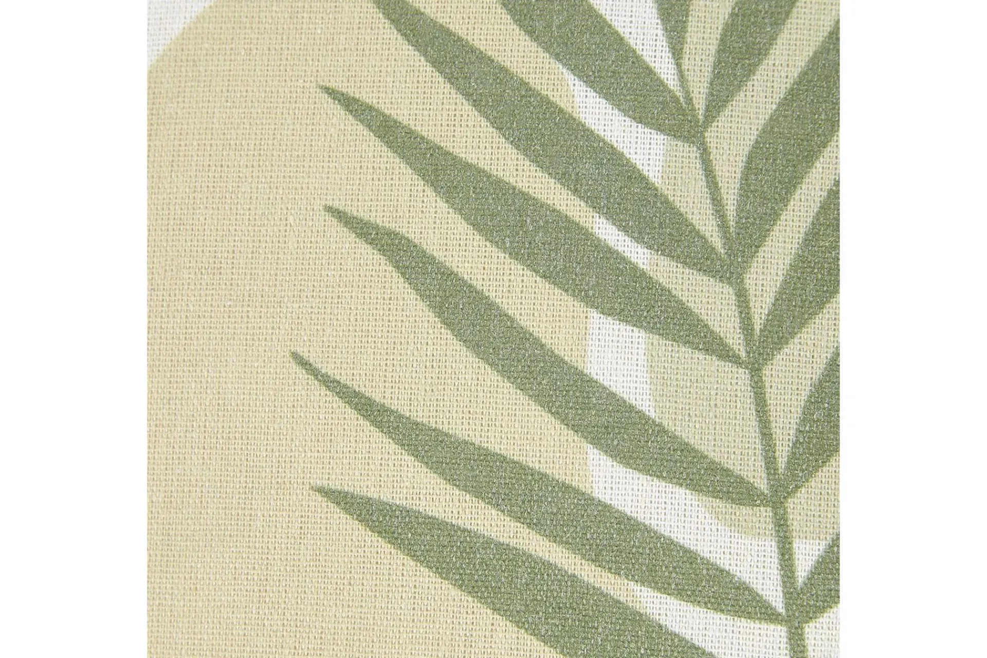 Hagepute|Hagepute-Pynteputer Microsorum sett på 2 Grønn,Beige