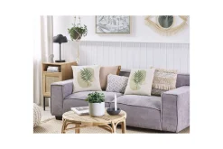 Hagepute|Hagepute-Pynteputer Microsorum sett på 2 Grønn,Beige