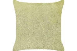 Hagepute|Hagepute-Pynteputer Pilea Grønn