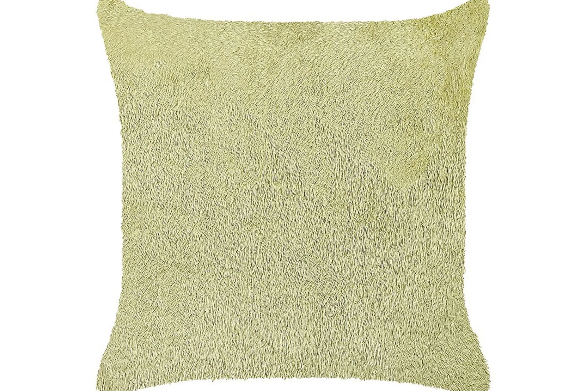 Hagepute|Hagepute-Pynteputer Pilea Grønn