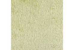 Hagepute|Hagepute-Pynteputer Pilea Grønn
