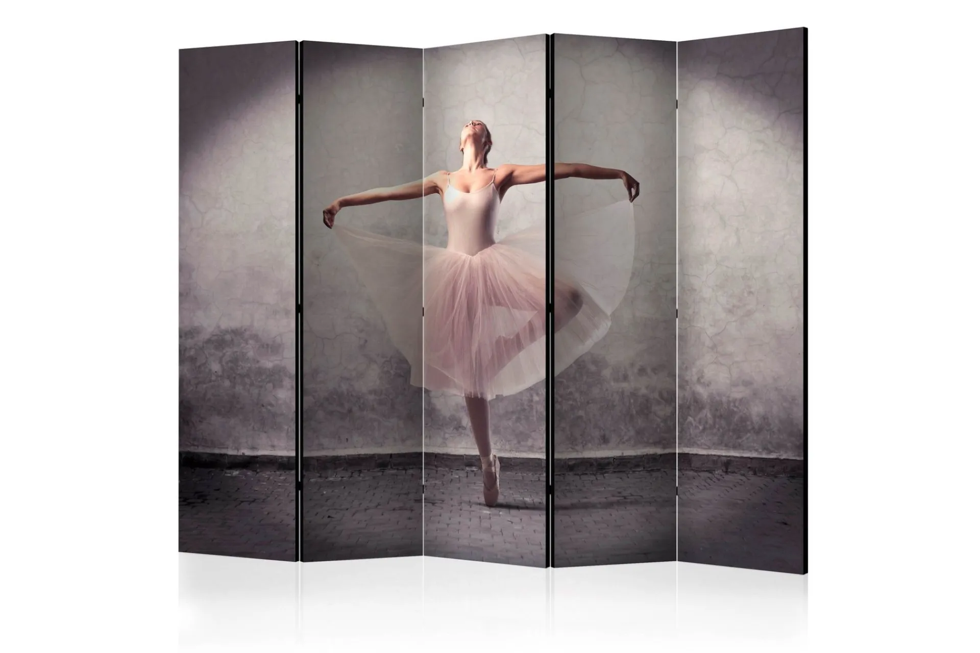 Bretteskjerm-Romdeler Classical Dance - Poetry Without Words