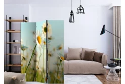 Romdeler Daisies - Spring Meadow