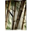 Romdeler Fog and Bamboo Forest