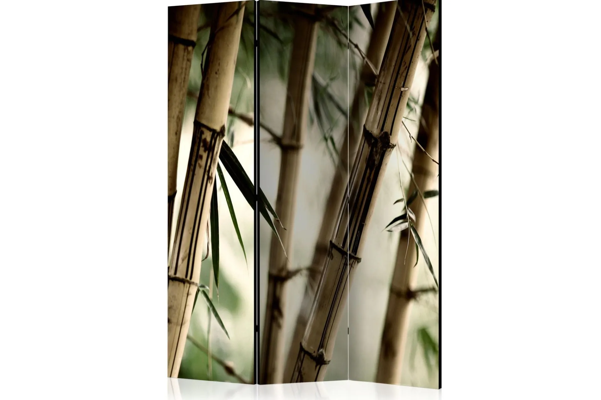 Romdeler Fog and Bamboo Forest