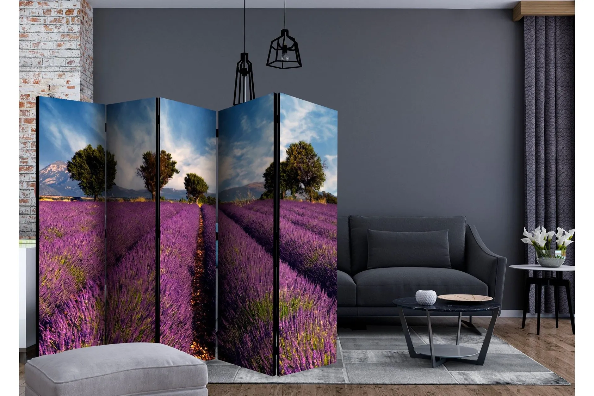Bretteskjerm-Romdeler Lavender Field in Provence, France II