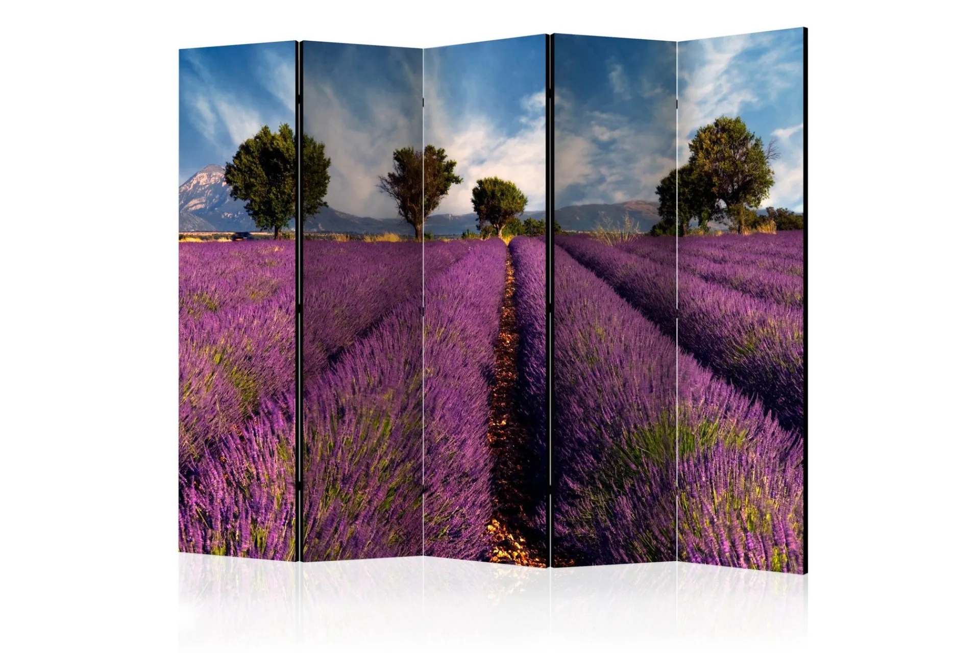 Bretteskjerm-Romdeler Lavender Field in Provence, France II