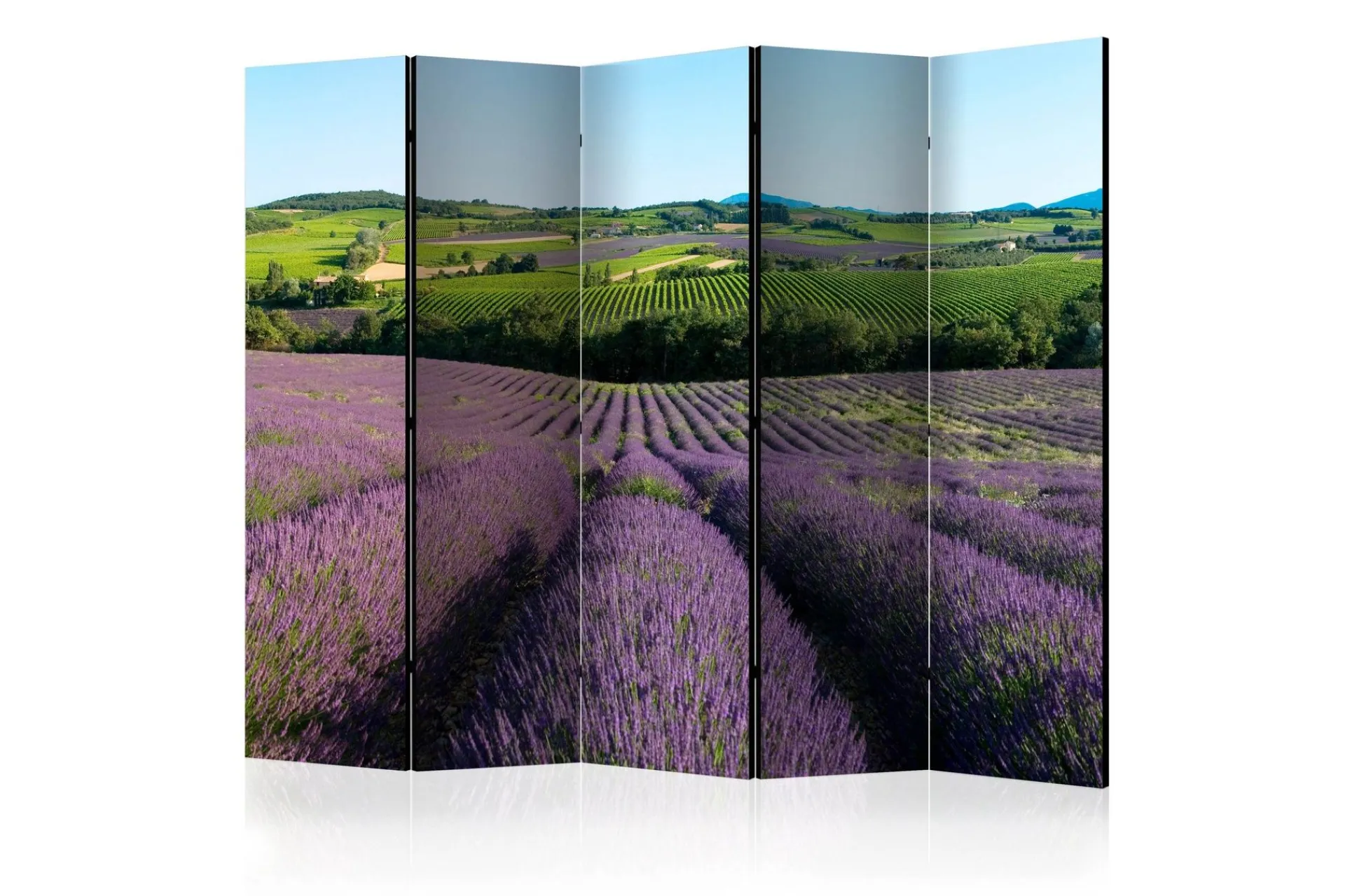 Bretteskjerm-Romdeler Lavender Fields II