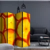 Bretteskjerm-Romdeler Orange Slices II