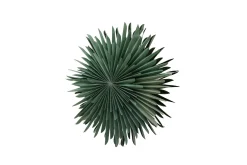Venture Home Julelys|Julepynt & Juledekorasjon-Sälen Adventsstjerne / Julelampe 60 cm Grønn