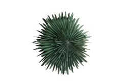 Venture Home Julelys|Julepynt & Juledekorasjon-Sälen Adventsstjerne / Julelampe 60 cm Grønn