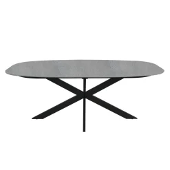 Spisebord HOME4YOU 200x100x76 cm