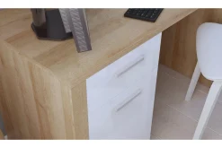 Kontorbord-Tarka Databord 120 cm med Oppbevaring Lås + Skap Hvit,Tre/Natur