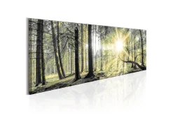 Tavla Morning Forest VALUE_MISSING_3 135x45