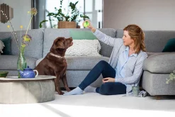 Klespleie|Støvsuger-Teppematerial Bissell Revolution 2x ProHeat