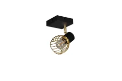 Trio Lighting Spotlights & Downlights-Ardon spotlight 1L E14 matt svart/polert messing Messing,Mattsvart