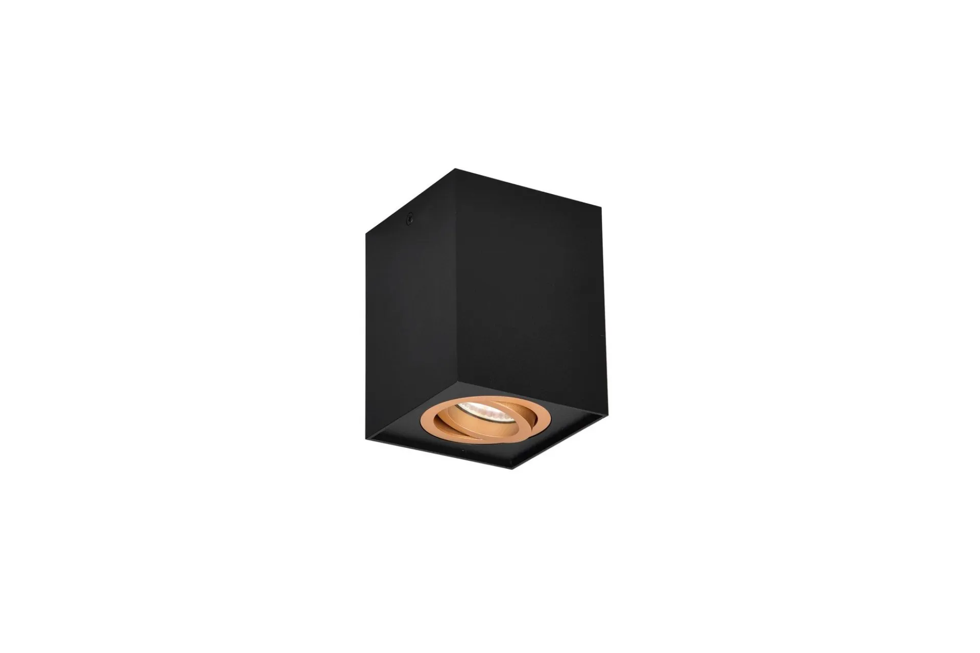 Trio Lighting Spotlights & Downlights-Biscuit plafond GU10 Svart/Gull