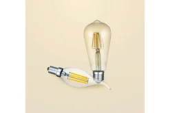 Trio Lighting Led-Belysning|Lyspærer-LK LED E27 filament industrial 6W 420lm 2700K brun